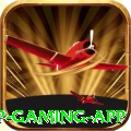 82x VIP Gaming App
