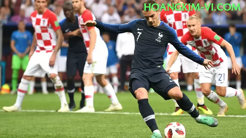 Tudo Sobre contavip: Guia Atualizado Para 2024 - ⭐ apk